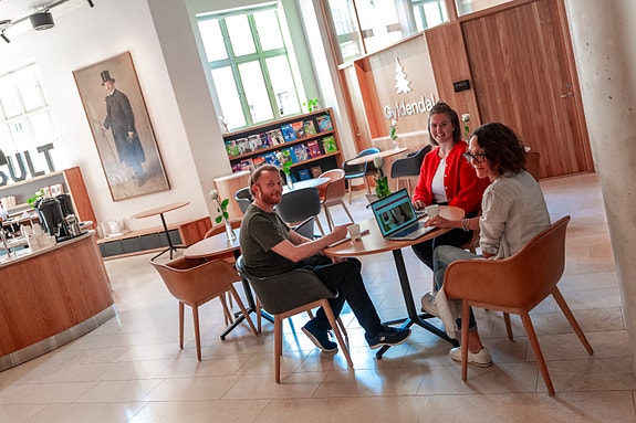 Bilde 3 av 5 i jobbannonse-galleriet