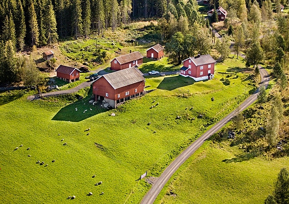 Bilde fra arbeidsgiver