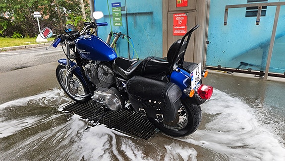 Harley-Davidson XL 883 Sportster 3 of 7