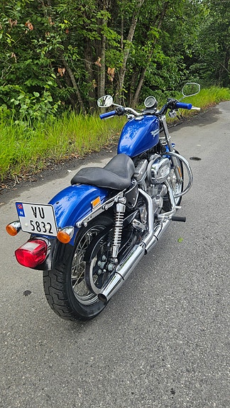 Harley-Davidson XL 883 Sportster 4 of 7