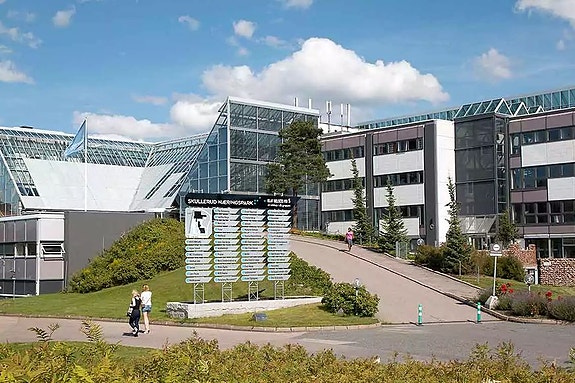 Bilde 4 av 13 i jobbannonse-galleriet