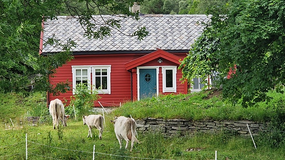 Bilde 1 av 3 i jobbannonse-galleriet