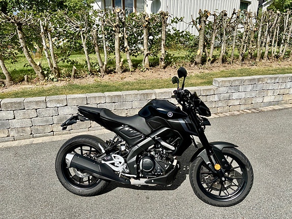 Yamaha MT-125 19 of 28