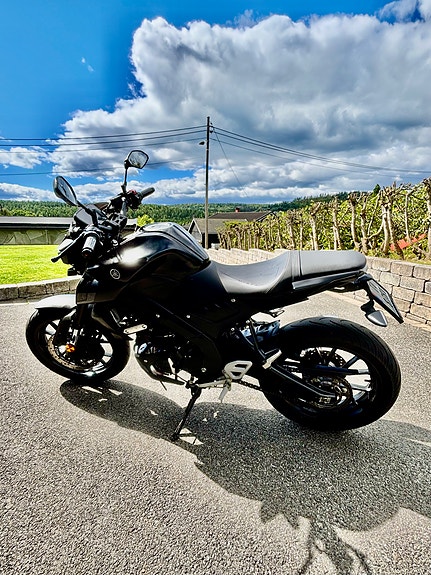 Yamaha MT-125 15 of 28