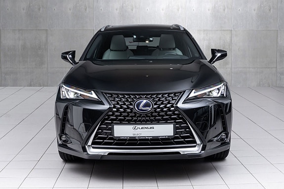 Lexus UX300e 4 of 29