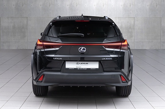Lexus UX300e 8 of 29