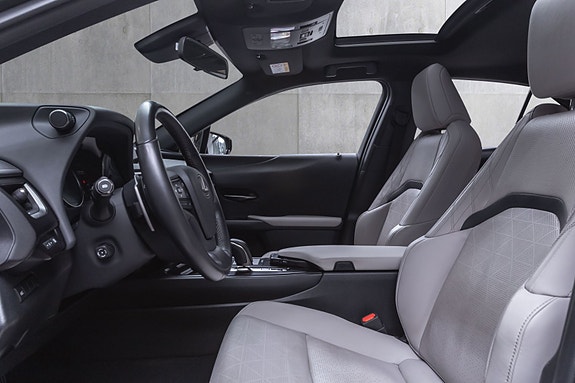 Lexus UX300e 21 of 29
