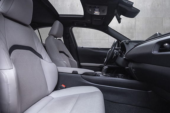 Lexus UX300e 27 of 29