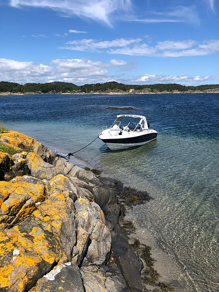 Flott og praktisk Morgan 5250 Bowrider m/ 70HK Suzuki 4-takter 2 of 17