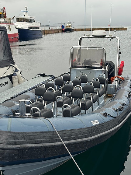 RIB Valiant PT 850 PU, med 2x225 hk Mercury 3 of 5