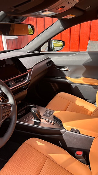 Lexus UX300e 4 of 9