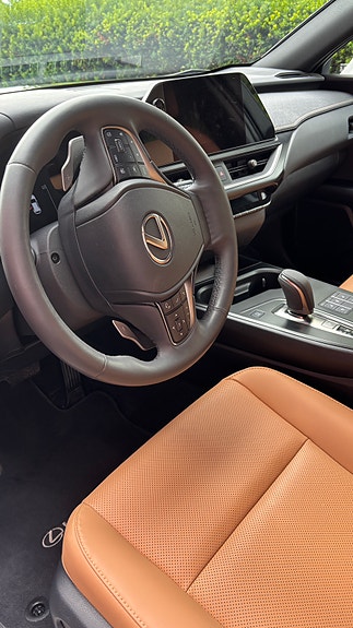 Lexus UX300e 7 of 9