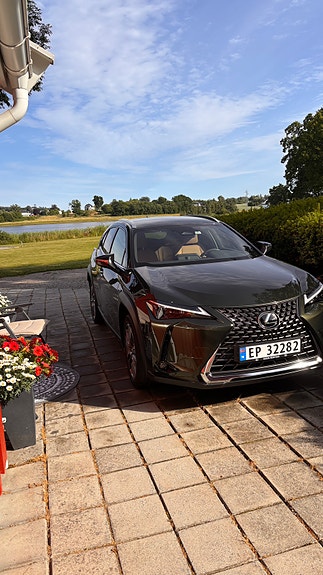 Lexus UX300e 2 of 9