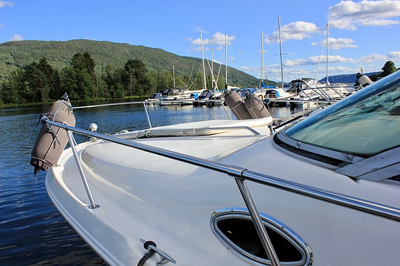 Sea Ray Sundancer 290 20 of 30