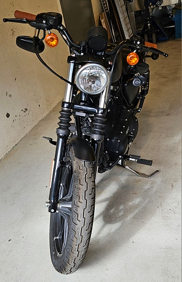 Harley-Davidson XL 883N Iron 3 of 10