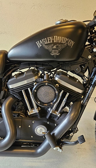 Harley-Davidson XL 883N Iron 9 of 10