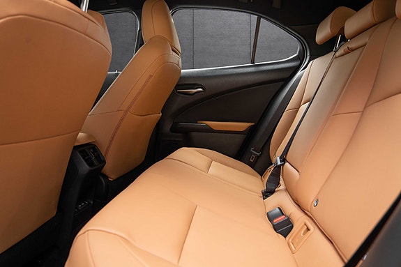 Lexus UX300e 17 of 19