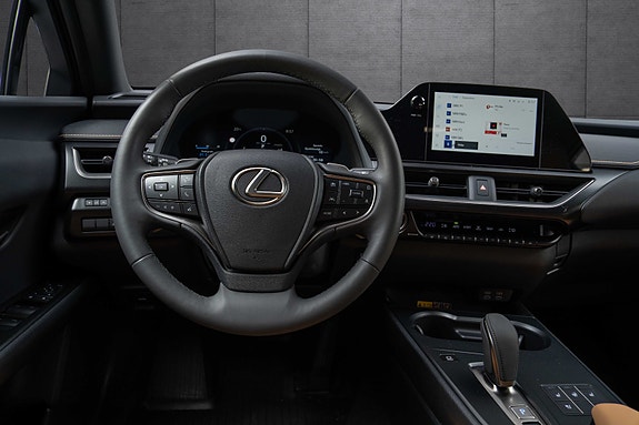 Lexus UX300e 11 of 19