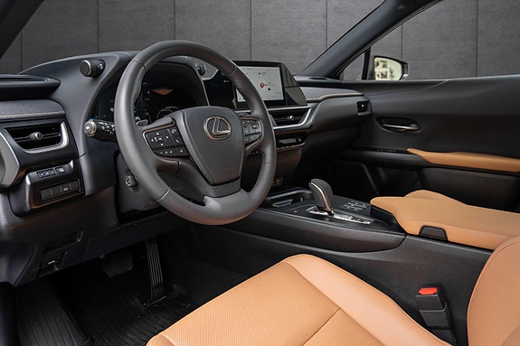 Lexus UX300e 10 of 19