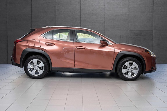 Lexus UX300e 6 of 19