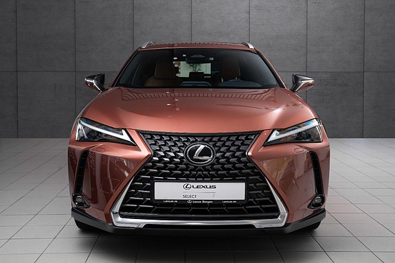 Lexus UX300e 8 of 19