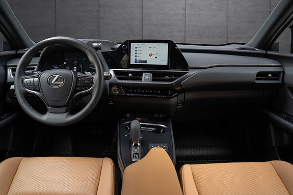 Lexus UX300e 14 of 19