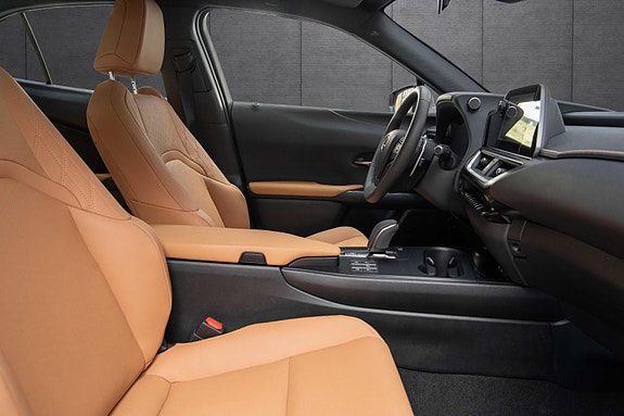 Lexus UX300e 16 of 19