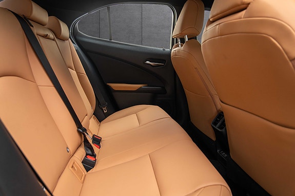 Lexus UX300e 18 of 19