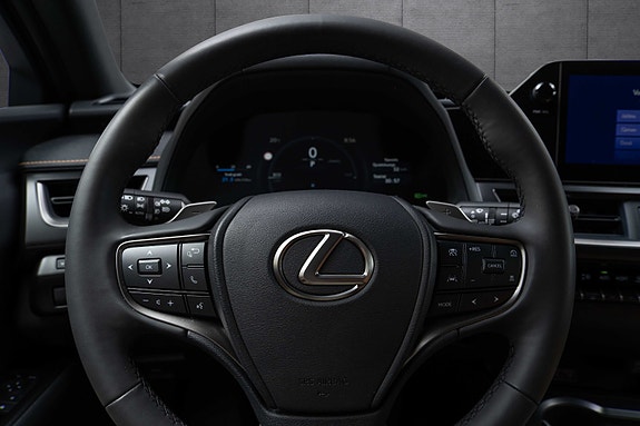 Lexus UX300e 12 of 19