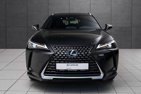 Lexus UX300e 8 of 18