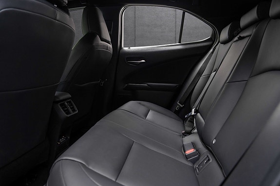 Lexus UX300e 15 of 18