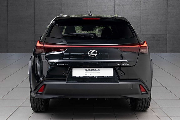 Lexus UX300e 4 of 18