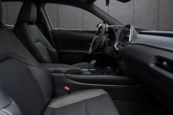 Lexus UX300e 17 of 18