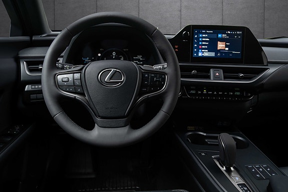 Lexus UX300e 11 of 18