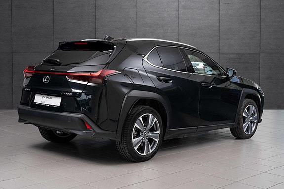 Lexus UX300e 5 of 18