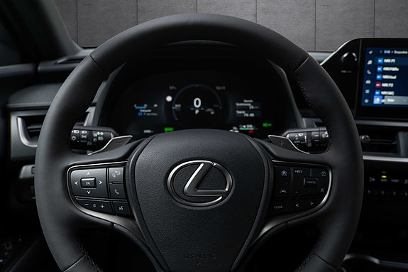 Lexus UX300e 12 of 18
