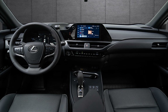Lexus UX300e 9 of 18