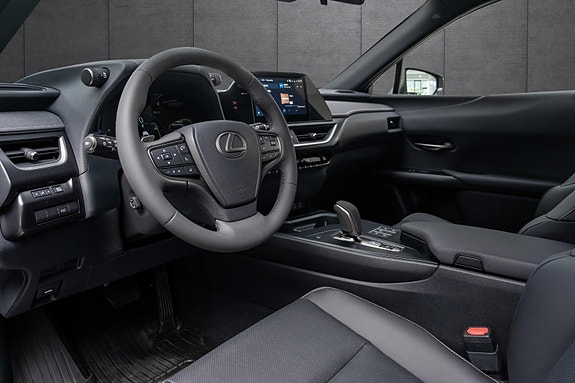 Lexus UX300e 10 of 18