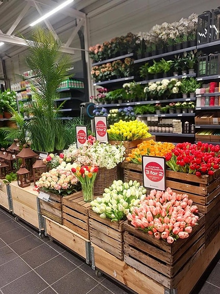 Bilde 7 av 8 i jobbannonse-galleriet