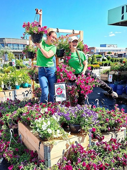 Bilde 1 av 8 i jobbannonse-galleriet