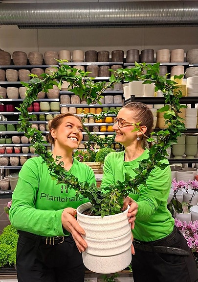 Bilde 6 av 8 i jobbannonse-galleriet