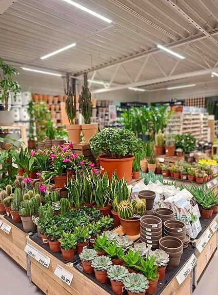 Bilde 8 av 8 i jobbannonse-galleriet