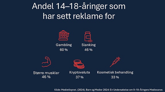 Bilde 1 av 2 i jobbannonse-galleriet