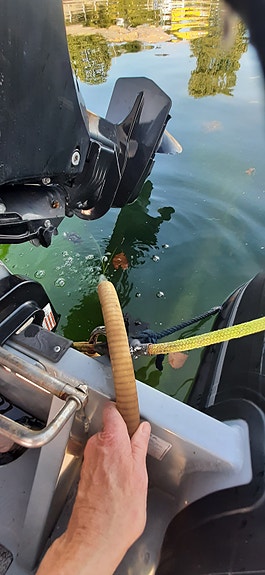 Highfield Classic Aliminium 360 RIB + Båtplass i Sandvika til salgs 14 of 21