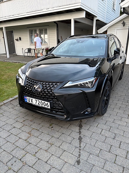 Lexus UX300e 3 of 4