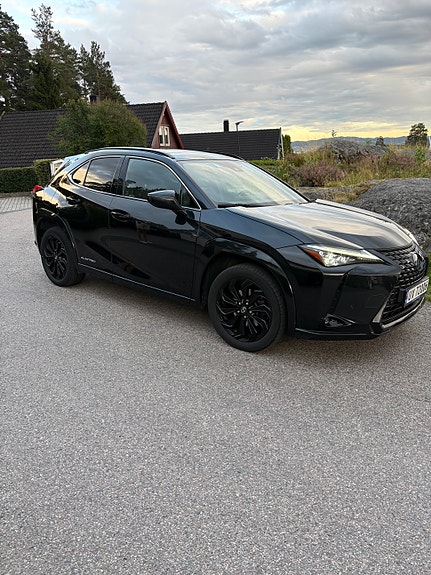 Lexus UX300e 2 of 4