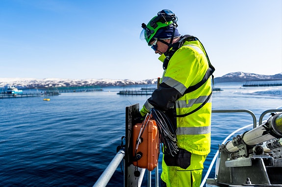 Bilde fra arbeidsgiver