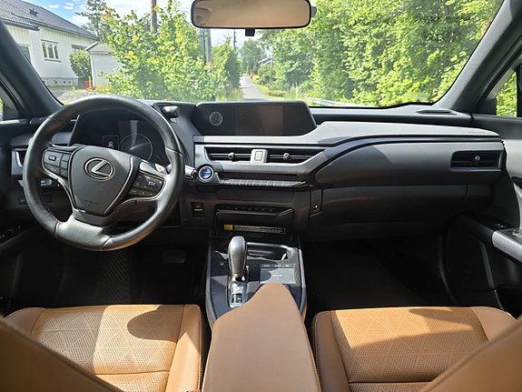 Lexus UX300e 5 of 8