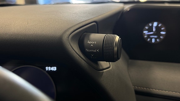 Lexus UX300e 17 of 30