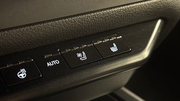 Lexus UX300e 29 of 30